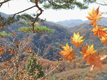 闫铁塔最新动态揭秘，探寻未来发展之路，揭开神秘面纱